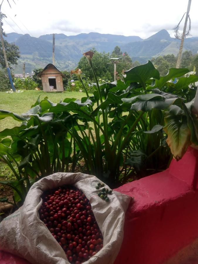 Finca Cafetera El Coral 2 Hotel Jardin Exterior photo